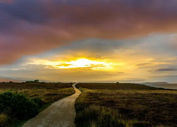 Mentoring der Weg ist das Ziel, Begleitung