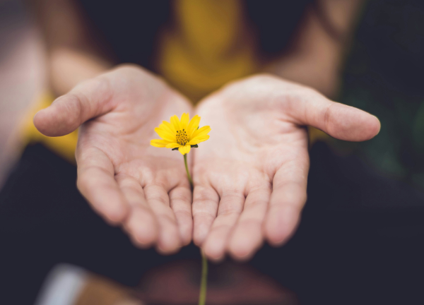 Behandlung Reiki Hände mit Blume